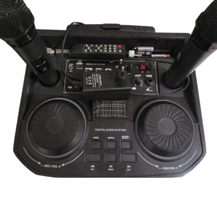 Cassa Amplificata Karaoke 10.000W Bluetooth – 2 Microfoni Wireless, USB e Funzioni Professionali