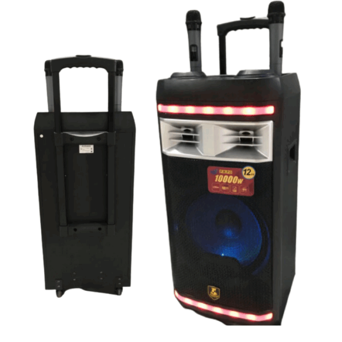 Cassa Amplificata Karaoke 10.000W Bluetooth – 2 Microfoni Wireless, USB e Funzioni Professionali