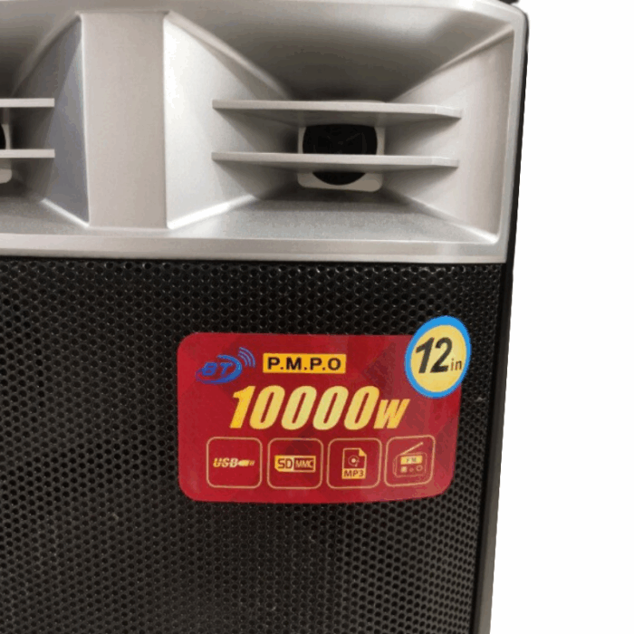 Cassa Amplificata Karaoke 10.000W Bluetooth – 2 Microfoni Wireless, USB e Funzioni Professionali