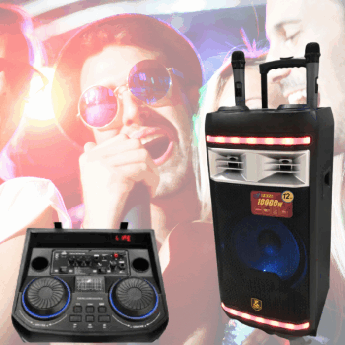 Cassa Amplificata Karaoke 10.000W Bluetooth – 2 Microfoni Wireless, USB e Funzioni Professionali