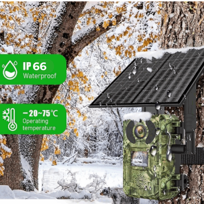 Fototrappola 4G Ricarica Solare Visione Notturna IP66 HD Monitoraggio Raccolti, Studio Fauna