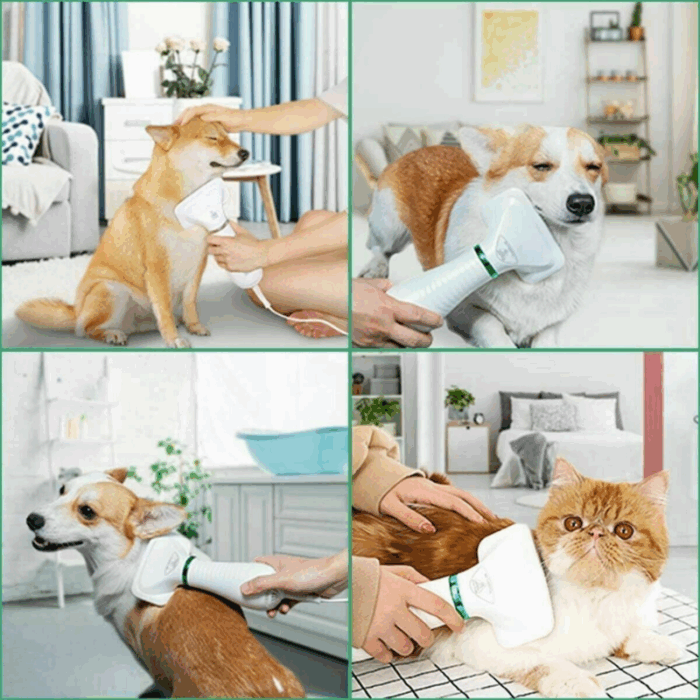 Spazzola Phon 2 in 1 Animali Domestici Asciuga e Pettina Peli - Rumore Basso 2 Velocità