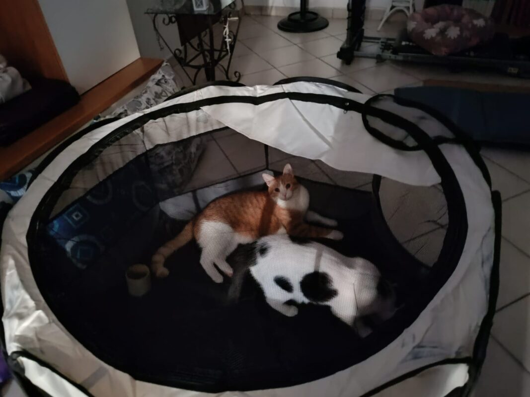 Immagine #1 da Sabrina F.