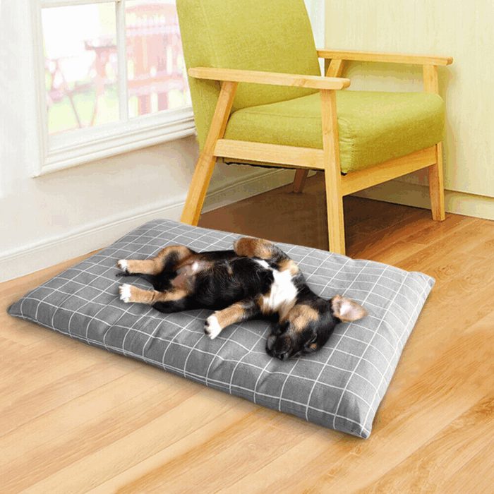 Cuccia Rettangolare Cuscino Morbido 50x35cm Taglia Piccola per Cani e Gatti Materassino Senza Bordi