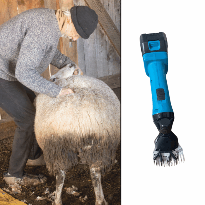 Macchina Tosatrice Tosapecora Professionale 68V | Doppia Batteria 800-1500W per Ovini