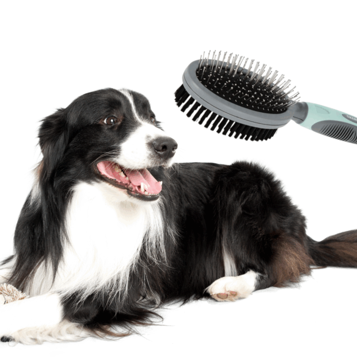 Spazzola Doppia 2 in 1 Pettine per Pelo Animali Domestici con Manico Ergonomico