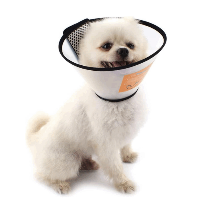 Collare Elisabettiano PVC Taglia Piccola 17-32cm per Cani e Gatti, Trasparente Anti-Morso