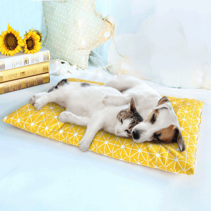 Cuccia Rettangolare Cuscino Morbido 50x35cm Taglia Piccola per Cani e Gatti Materassino Senza Bordi