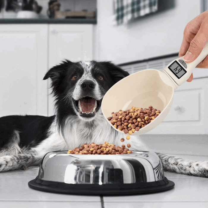 Misurino Crocchette per Cani con Display LCD | Paletta e Bilancia per Alimenti Precisa e Facile da Usare