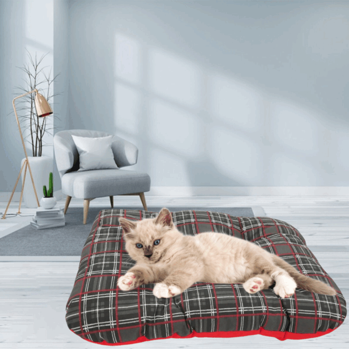 Cuccia Rettangolare Cuscino Morbido 50x35cm Taglia Piccola per Cani e Gatti Materassino Senza Bordi
