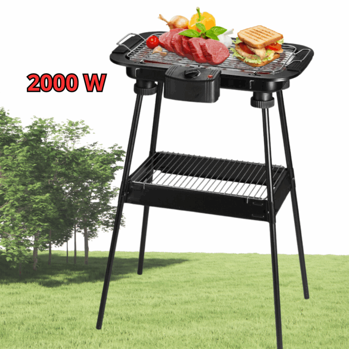 Barbecue Elettrico 2 in 1 BBQ Bistecchiera 2000W Grill 2 Ripiani con Piedistallo per Carne, Pesce, Verdure