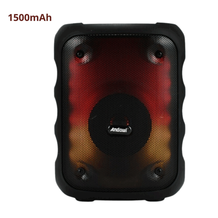 Altoparlante Cassa Portatile 5W Speaker AUX-Mp3-BT-USB-FM Radio