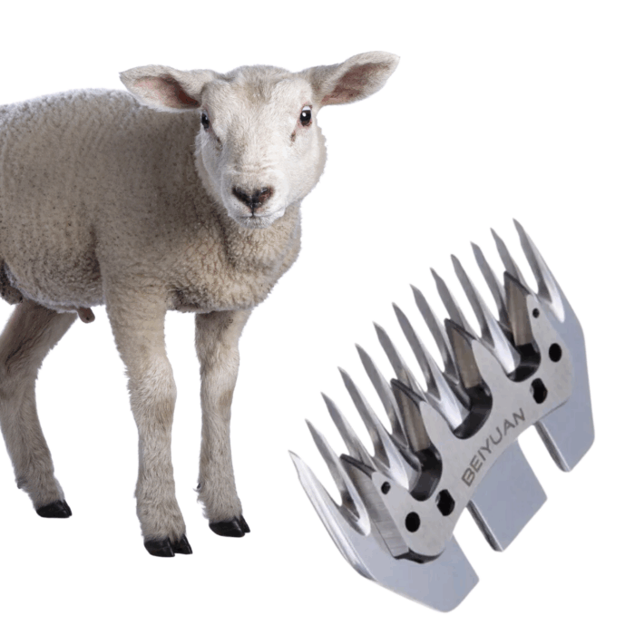 Lama di Ricambio Universale per Tosatrice a 13 Denti Diritti, Tosapecore Pettine Lana