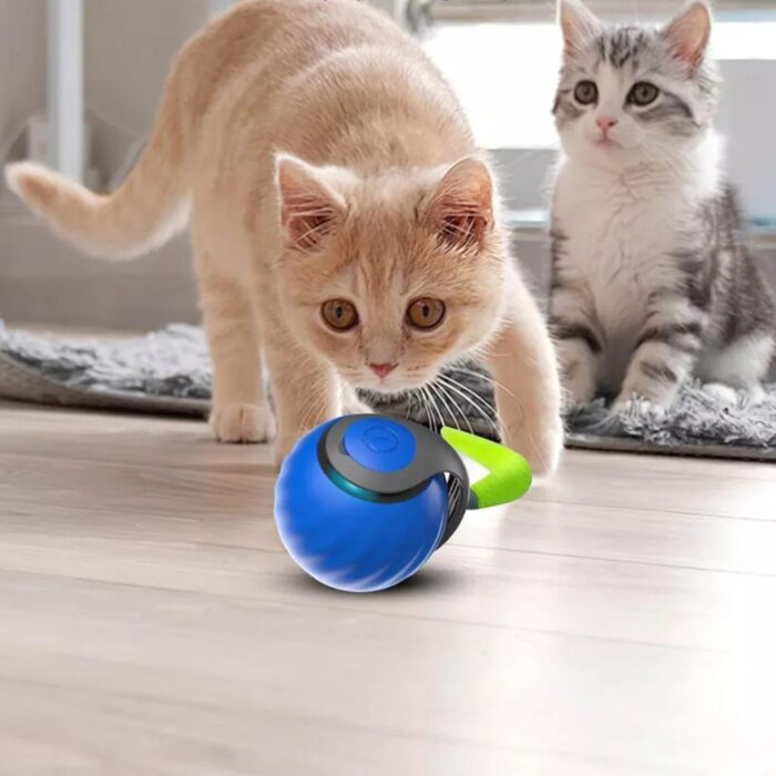 Palla Rotante Interattiva con Coda per Gatti | Speedy Tail Gioco Ricaricabile USB