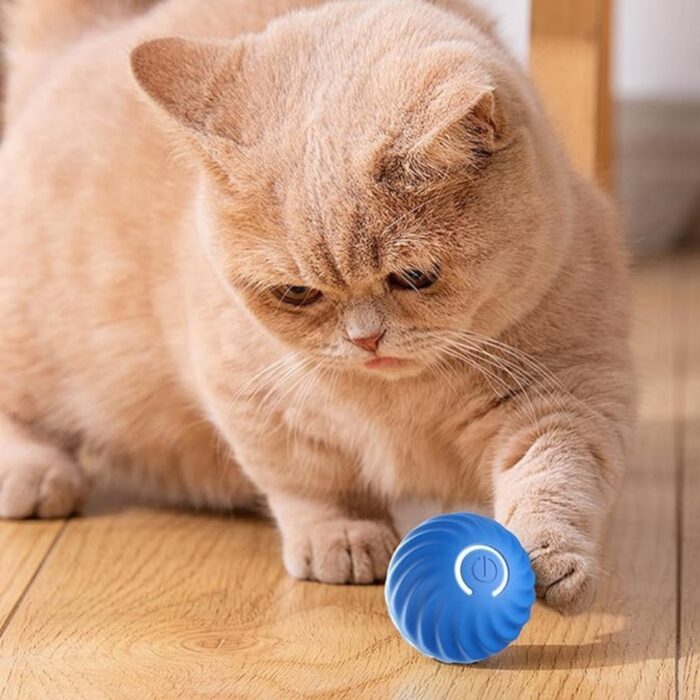 Palla Rimbalzante Auto-Rotolante per Cani e Gatti con Luce LED | Gioco Interattivo Intelligente Ricaricabile USB