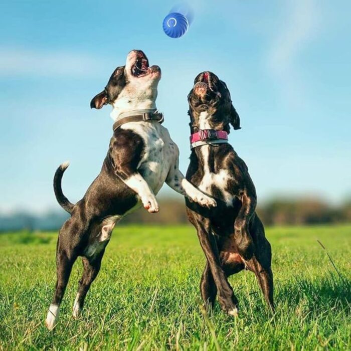 Palla Rimbalzante Auto-Rotolante per Cani e Gatti con Luce LED | Gioco Interattivo Intelligente Ricaricabile USB