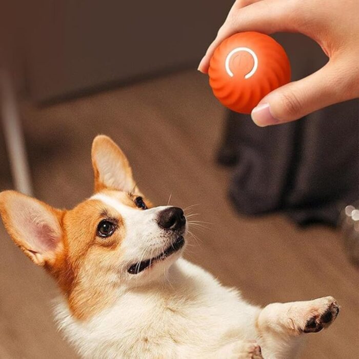 Palla Rimbalzante Auto-Rotolante per Cani e Gatti con Luce LED | Gioco Interattivo Intelligente Ricaricabile USB