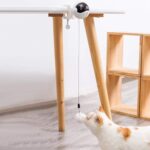 Giocattolo Interattivo per Gatti con Corda Automatica | Palla Elettrica