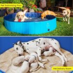 Piscina per Cani Ø160cm Antiscivolo Pieghevole Resistente e Facile da Riempire