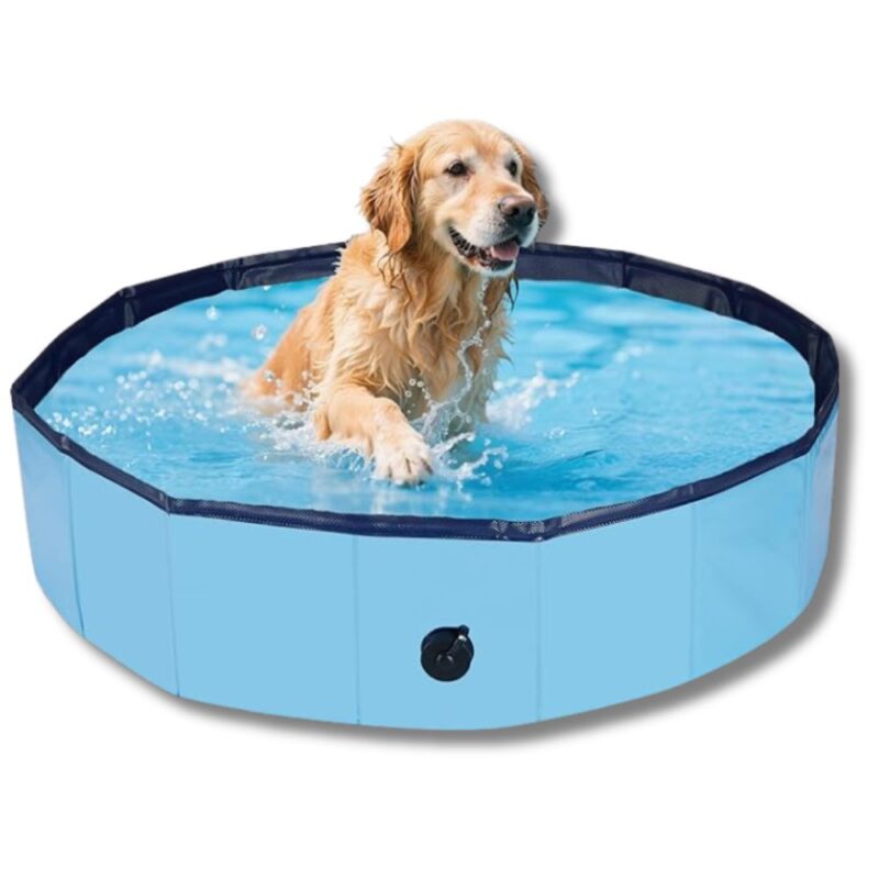 Piscina per Cani Ø160cm Antiscivolo Pieghevole Resistente e Facile da Riempire